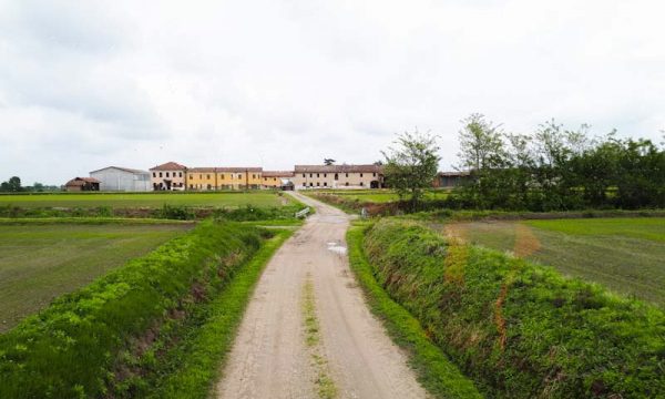 Risaia di Sant’Angelo Lomellina e Riseria di Villa Biscossi: la nostra giornata.