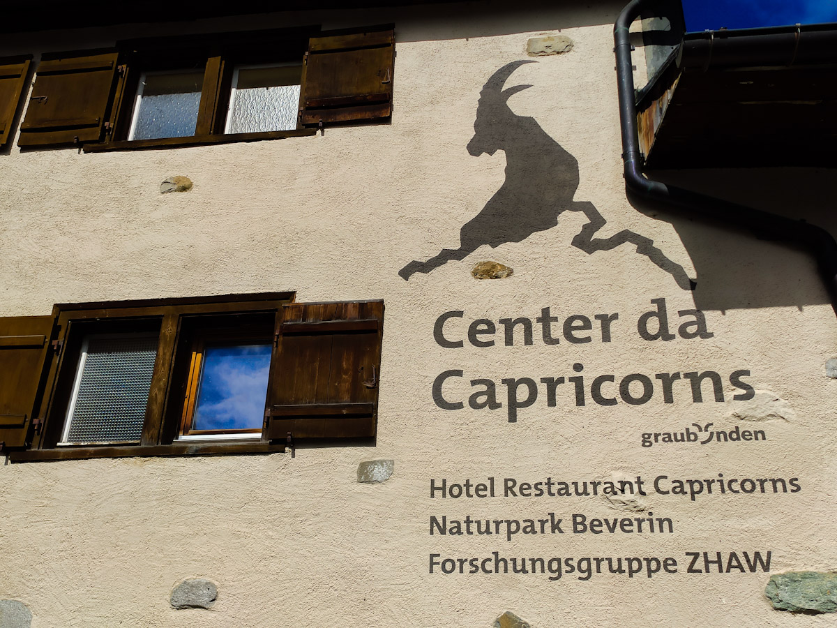 Center da Capricorns, il centro dove imparare la vita degli Stambecchi. A Wergenstein nel Cantone dei Grigioni in Svizzera