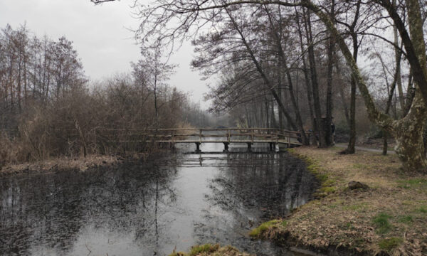 LAGO di SARTIRANA, una passeggiata nella natura in Brianza