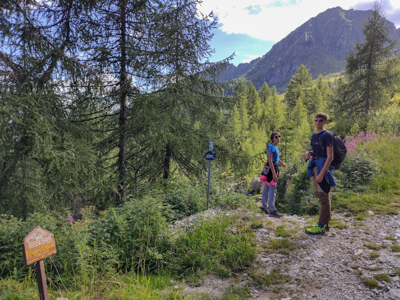 Sentiero tematico Il legno è vita deviazione verso rifugio Valtellina 