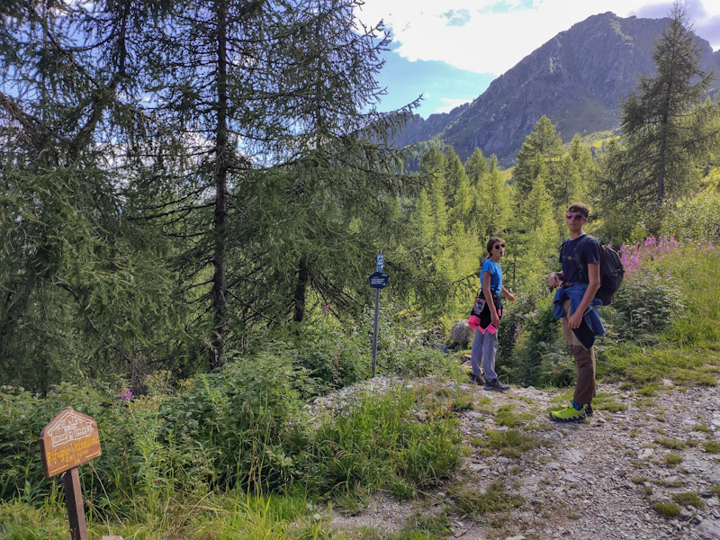 Deviazione verso rifugio Valtellina Sentiero tematico Il legno è vita deviazione verso rifugio Valtellina