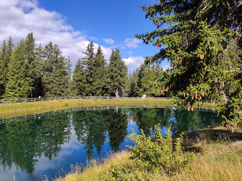 Aprica Magnolta laghetto pesca sportiva Laghetto di pesca sportiva Aprica