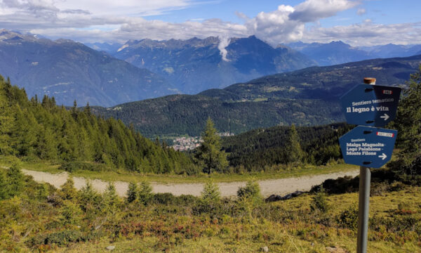 Il LEGNO è VITA, sentiero tematico ad Aprica in Valtellina
