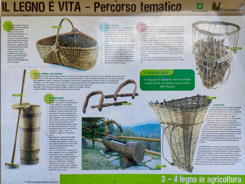 Sentiero tematico Il legno è vita bacheca Sentiero tematico Il legno è vita Aprica