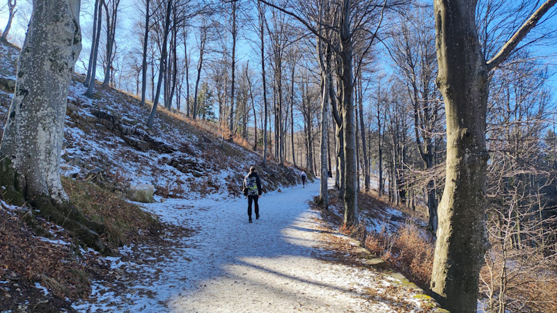 Passeggiata al Belvedere dei Piani dei Resinelli Passeggiata panoramica ai Piani dei Resinelli